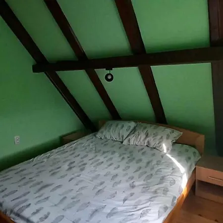 Brvnara Za Odmor Tara *