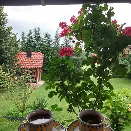 Brvnara Za Odmor Tara Bajina Basta