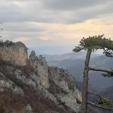 Semesterbostad Brvnara Za Odmor Tara Bajina Basta
