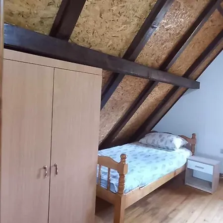 Semesterbostad Brvnara Za Odmor Tara Bajina Basta