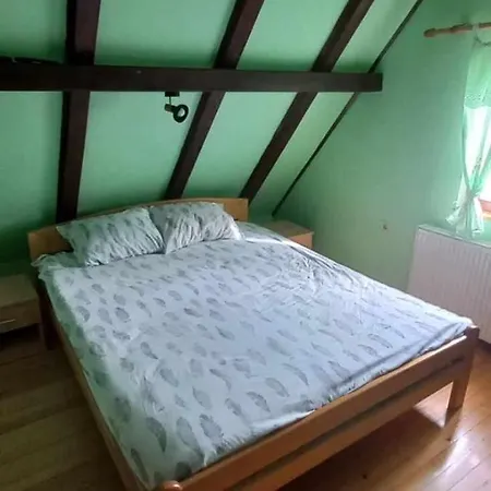 Brvnara Za Odmor Tara * Bajina Basta