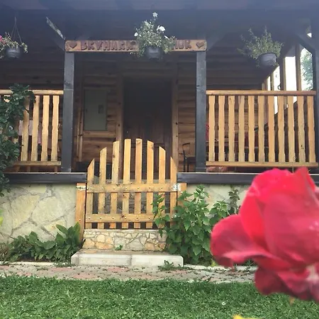 Semesterbostad Brvnara Za Odmor Tara *