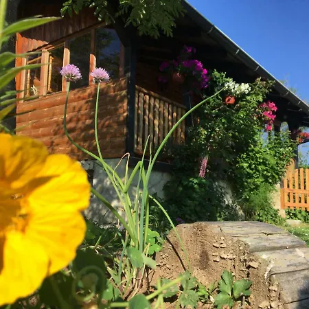 Brvnara Za Odmor Tara *