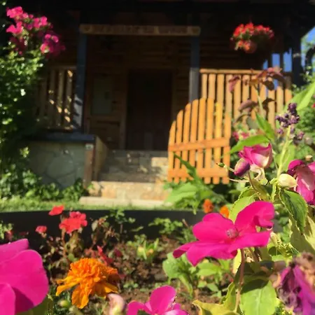 Brvnara Za Odmor Tara Semesterbostad Bajina Basta