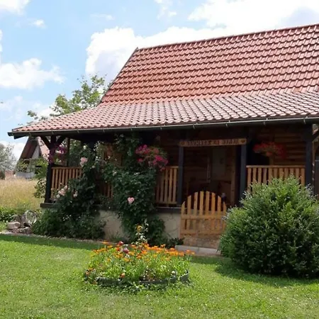 Brvnara Za Odmor Tara Semesterbostad Bajina Basta